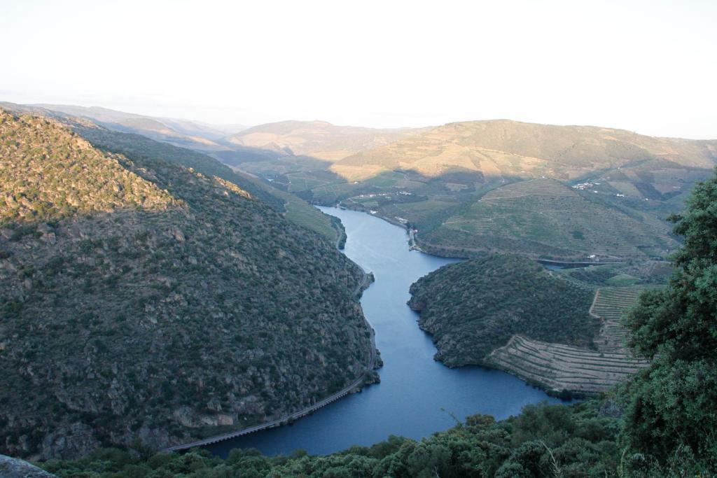 Douro Yacht Charter & Bungalows São João da Pesqueira Exterior foto